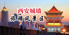 操美女小骚逼高清图片网页中国陕西-西安城墙旅游风景区